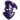 Furman Paladins